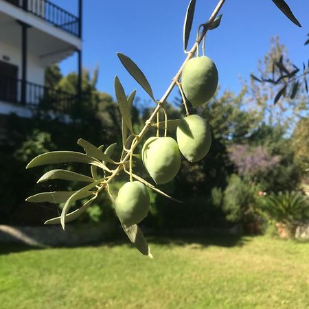 Νίκος&Παναγιώτα Διαμέρισμα Βουρβουρού Εξωτερικό φωτογραφία